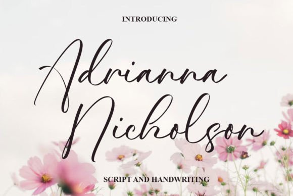 Adrianna Nicholson Font: Elevating Digital Brand Identity