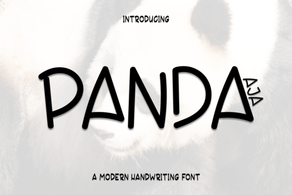 How Panda Aja Font Brought Personality to Our Campaign Visuals