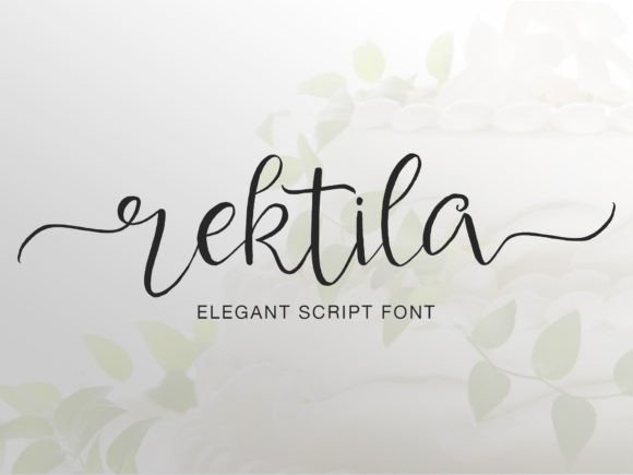 Rektila Font: Elevating Editorial Design with Modern Script Sophistication