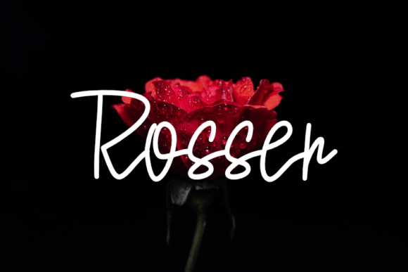 Rosser Font Review: Bold Script for Digital Campaigns